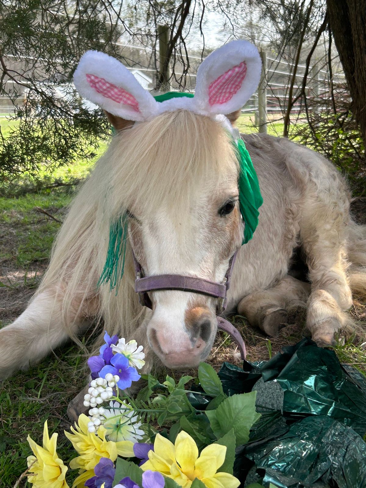 Hand Made Luck Stables \u201cSpring Break Camp\u201d