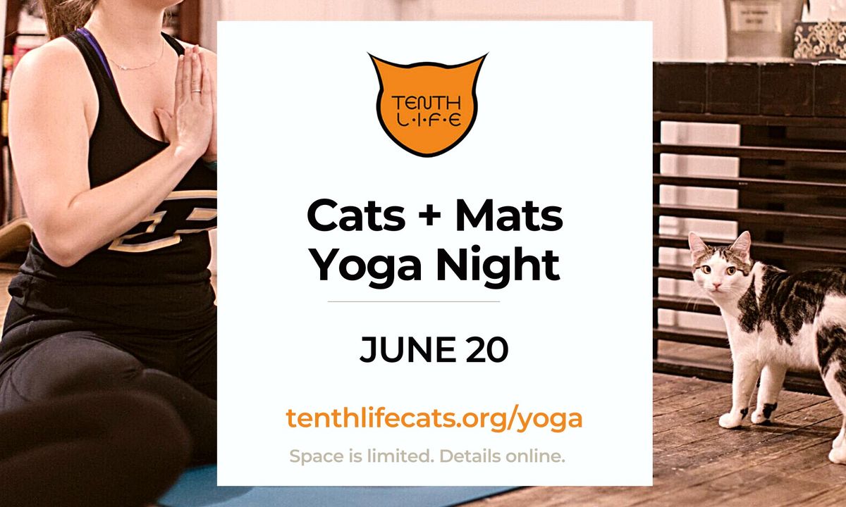 Cats N' Mats Yoga