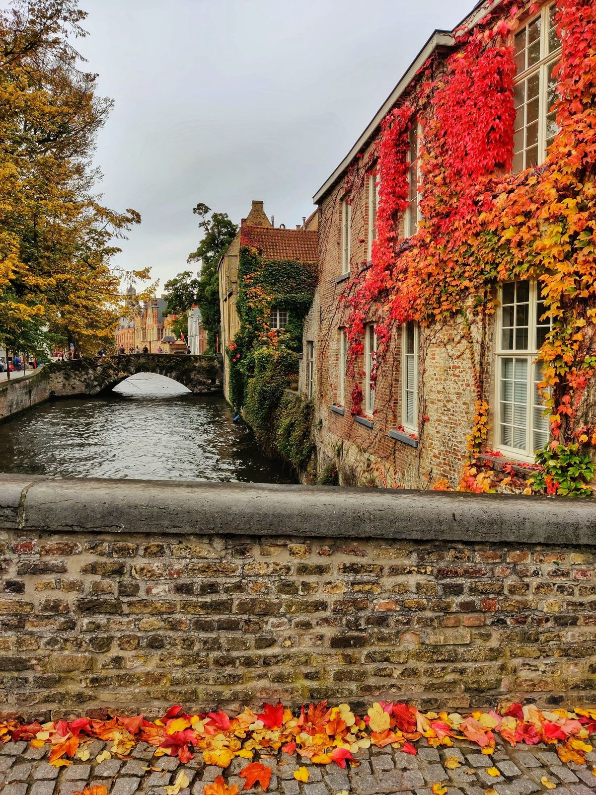 Valentijnswandeling te Brugge