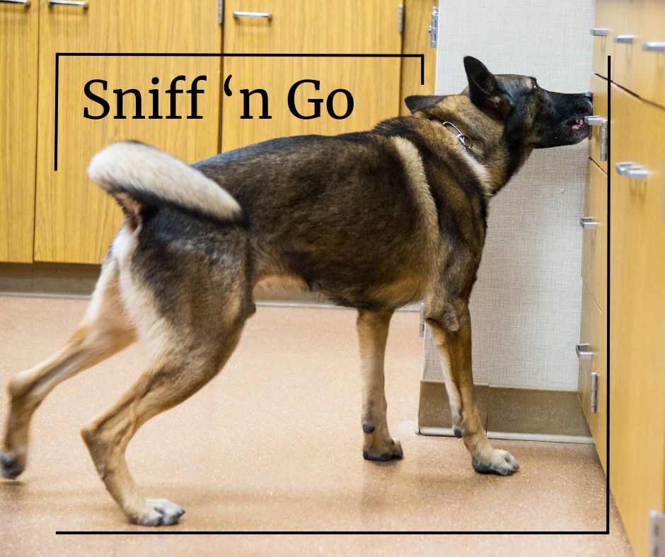 Sniff 'n Go