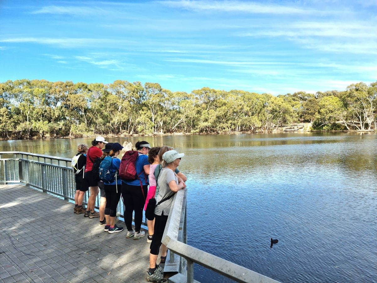 Wynn Vale Dam Urban Walk (6km)