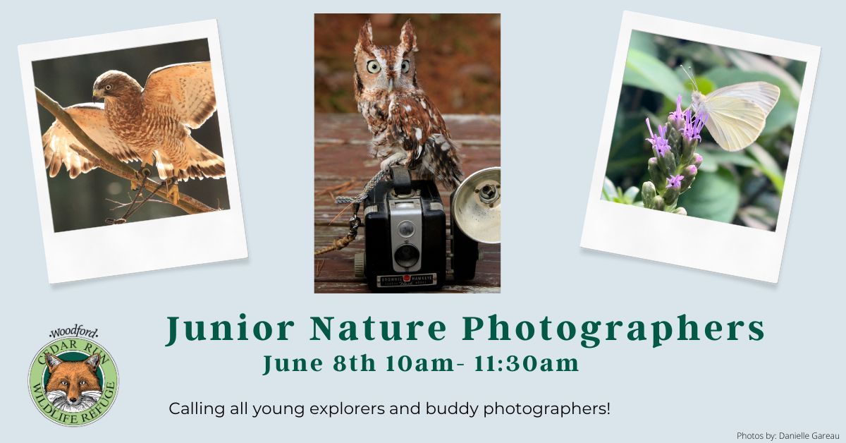 Junior Nature Photographers