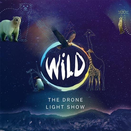 WILD: The Drone Light Show - Bristol