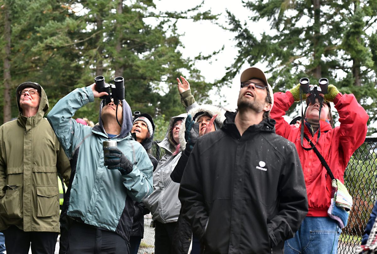 Point Defiance Bird Walk