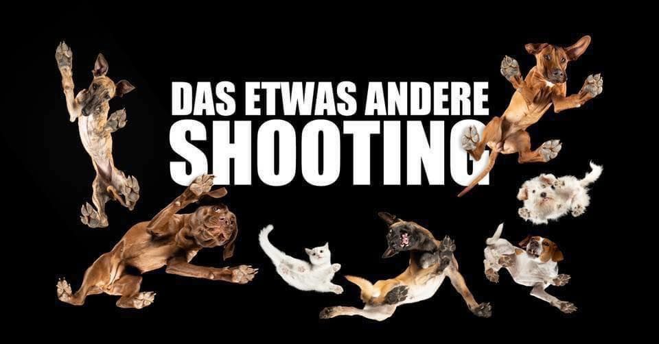 Das etwas andere Tierfotoshooting im Fressnapf Kassel XXL