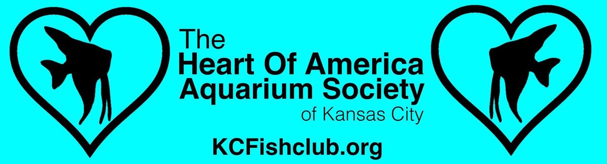 HAAS KC - June 14th \u2013YouTuber Dan's Fish - "How to Ship Fish so they Arrive Alive 99%