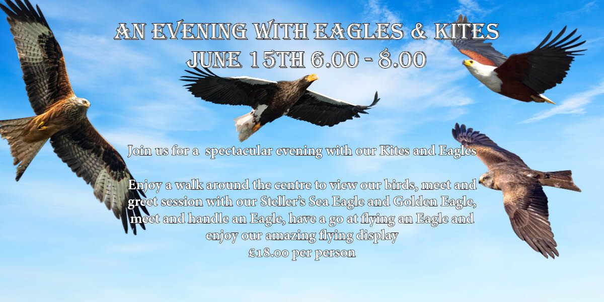 An Evening with Eagles & Kites