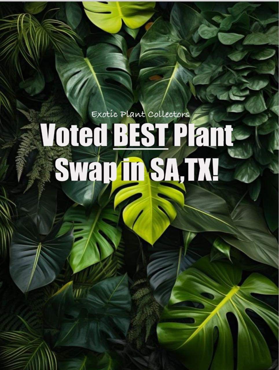 Bi-Weekly Plant Swap and Sale!