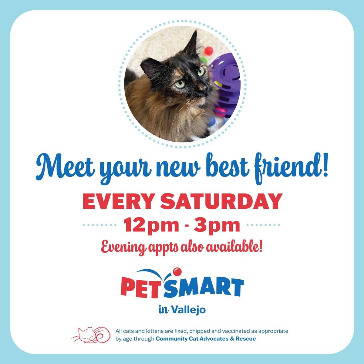 Vallejo Petsmart Adoption Event