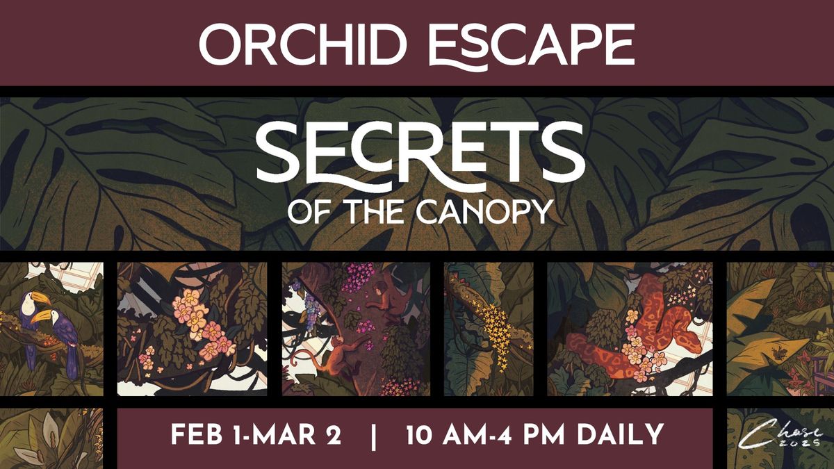 Orchid Escape: Secrets of the Canopy