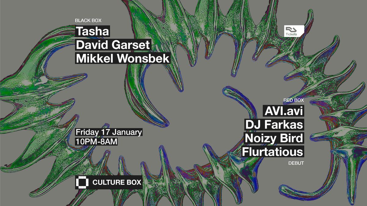 Tasha \/ David Garset \/ Mikkel Wonsbek \/ Debut: AVI.avi \/ DJ Farkas \/ Noizy Bird \/ Flurtatious