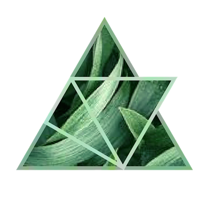 Aura IV Tattoo Gallery