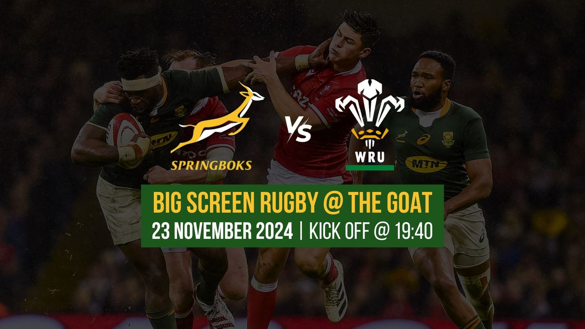 Springboks VS Wales