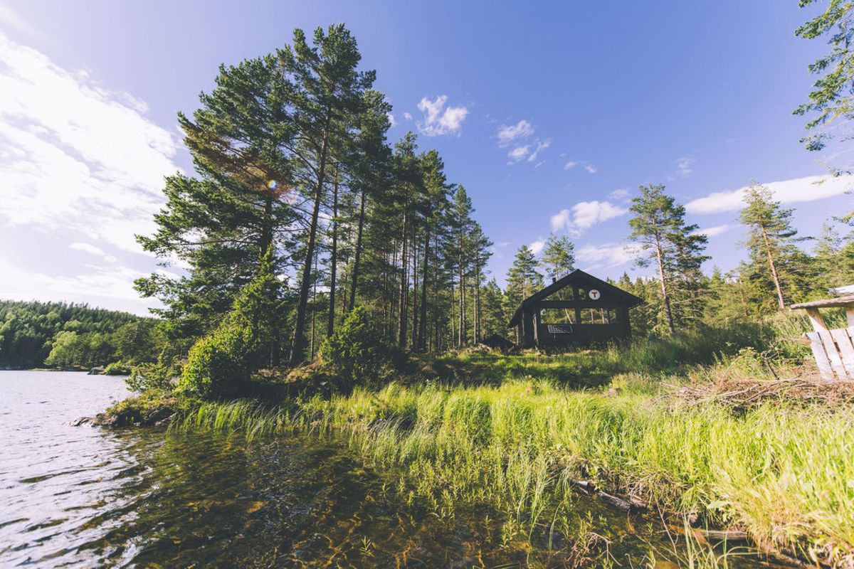 Barnevennlig tur til DNT Huldreheim