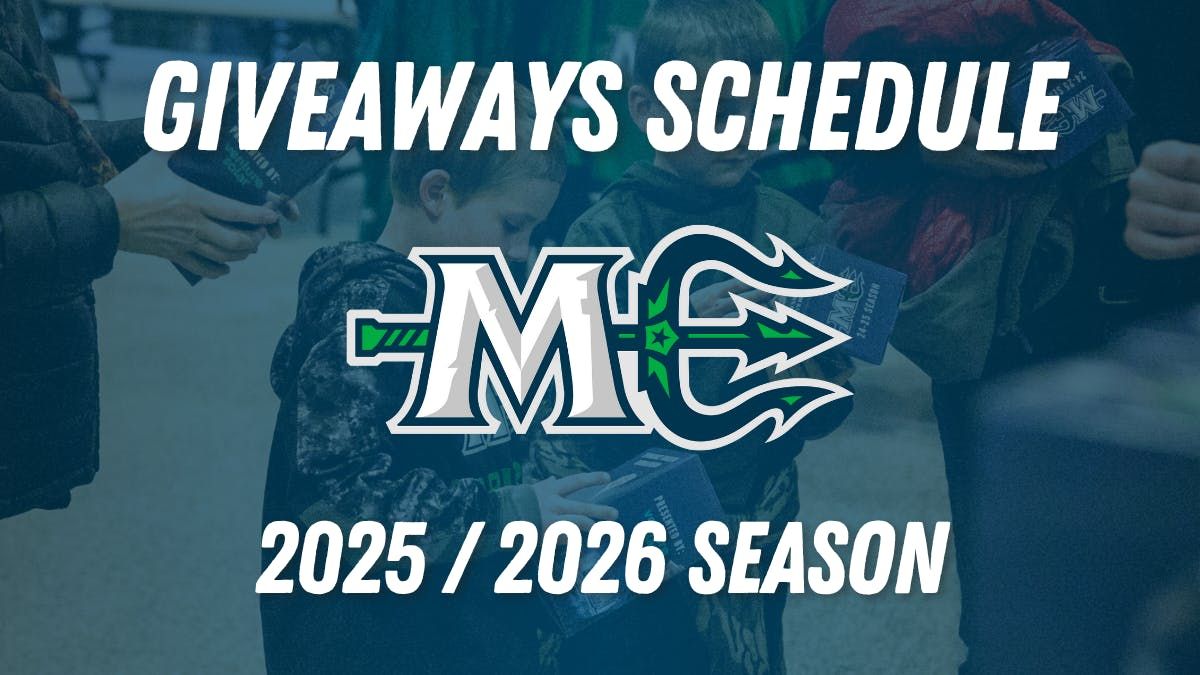 Norfolk Admirals at Maine Mariners