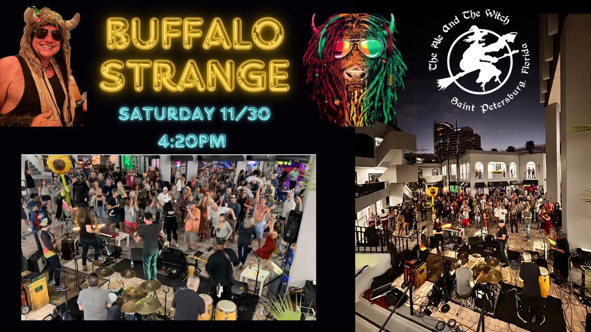 Buffalo Strange at the Witch on Thanksgiving Weekend SA 11\/30 4:20pm