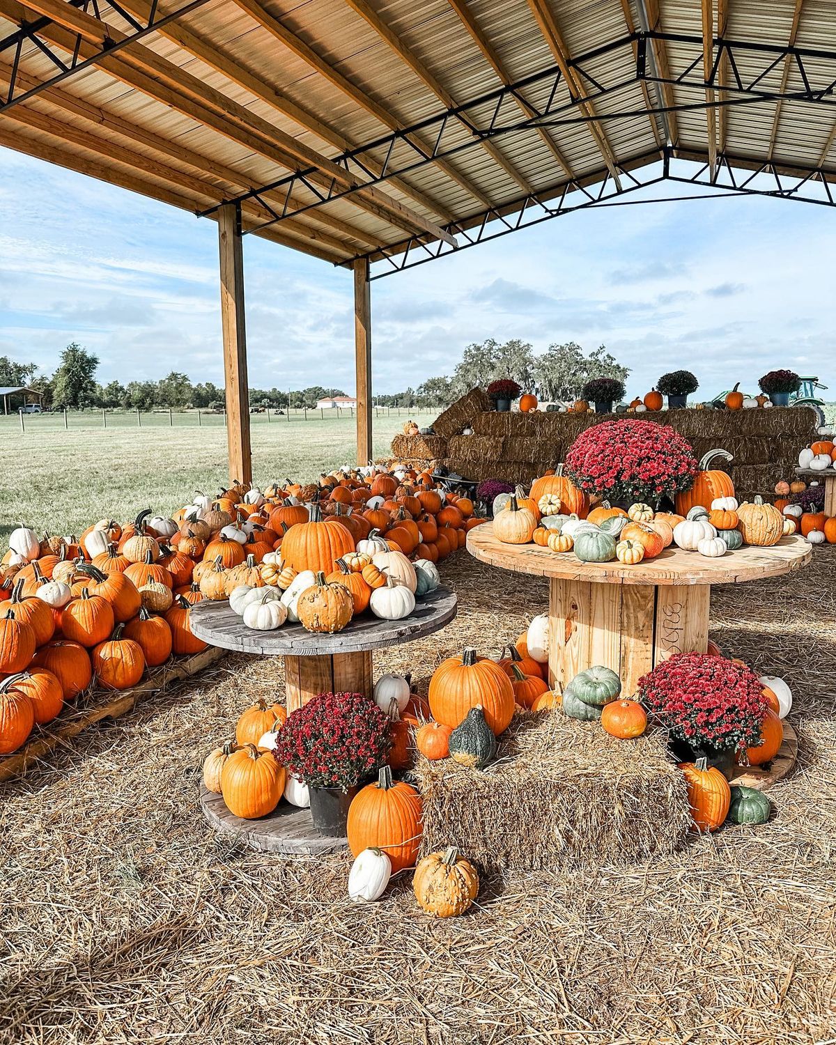 Dade City Farms Fall Festival 