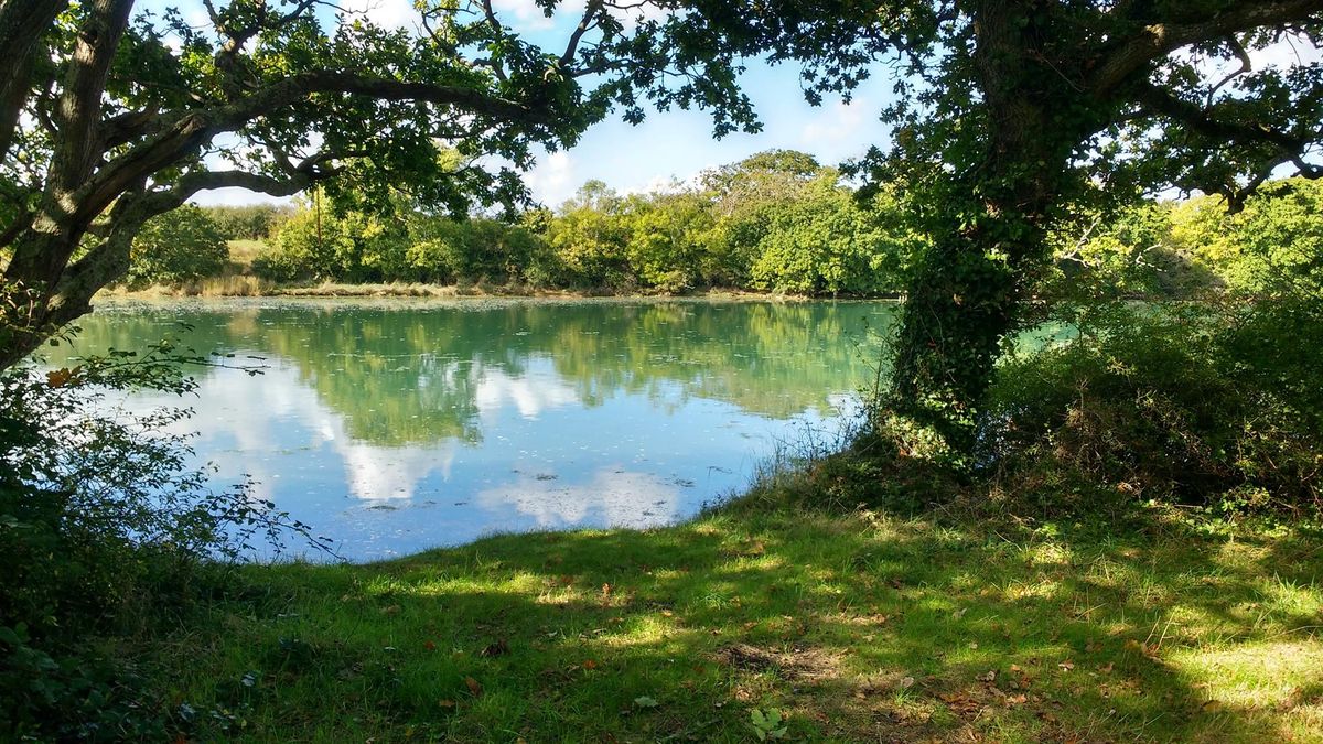 Corf Campsite Open Day