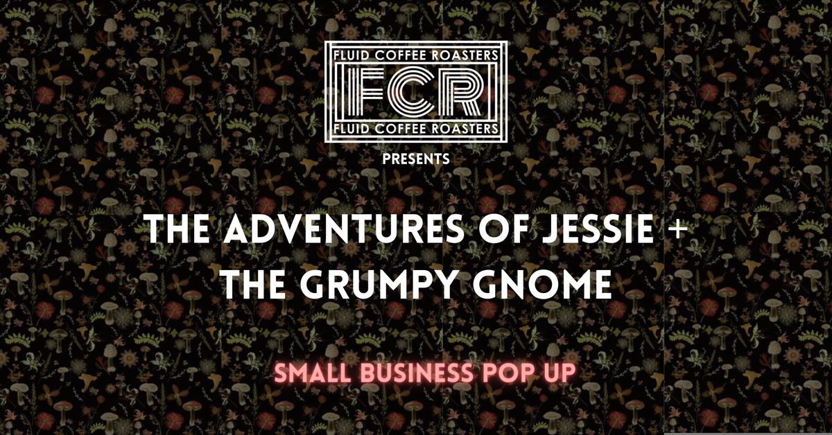 THE ADVENTURES OF JESSIE AND THE GRUMPY GNOME||FLUID CHESTERON