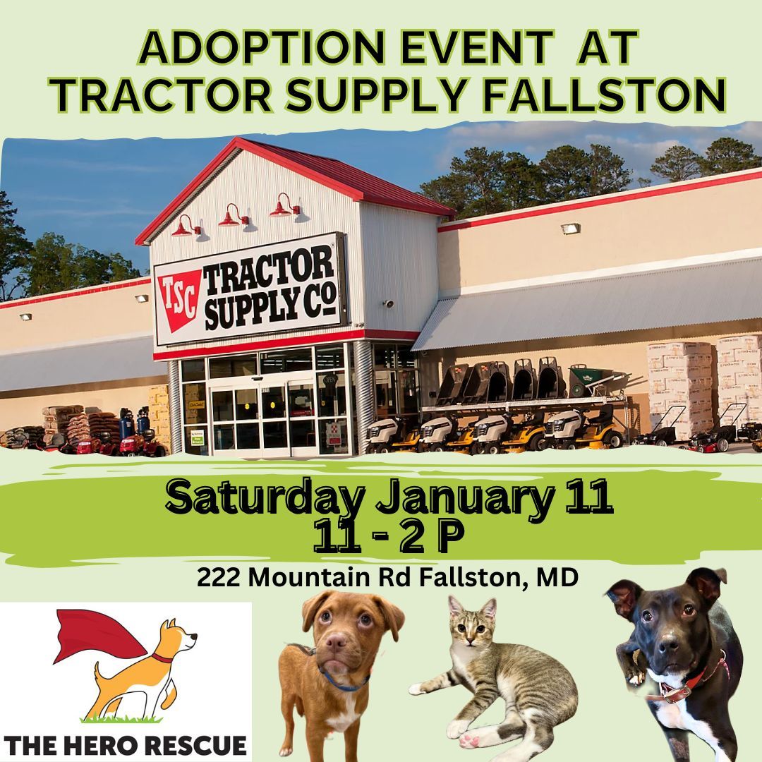 Adoption Event at Tractor Supply