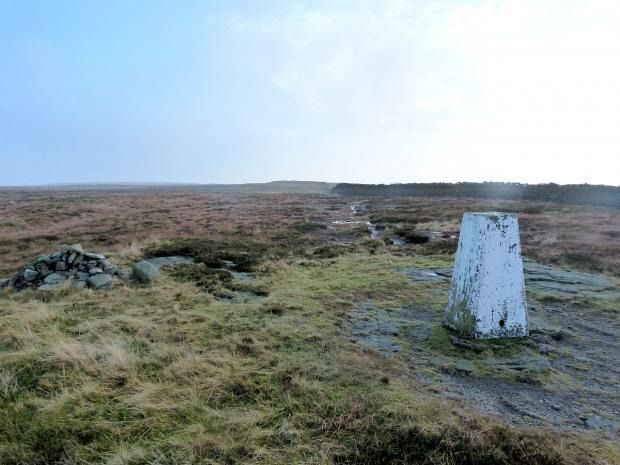 Litton Birks Fell Race 2024