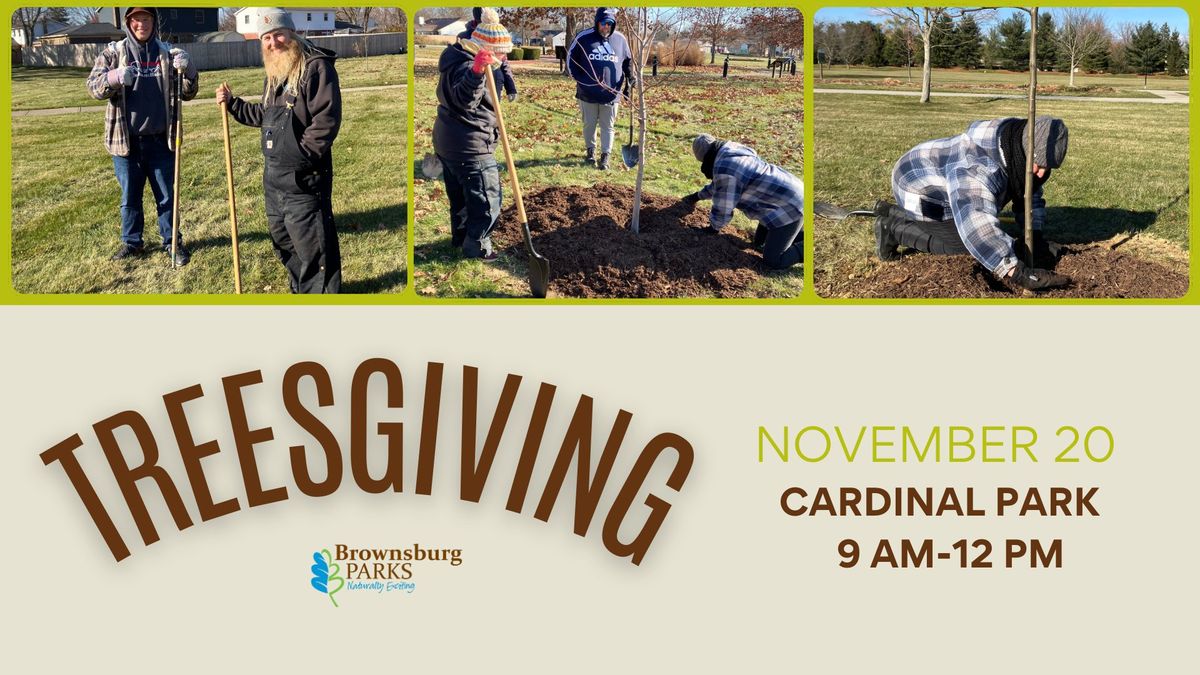 VOLUNTEER: Treesgiving