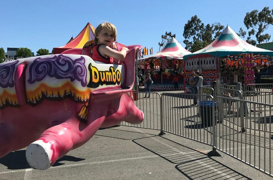 Springfest