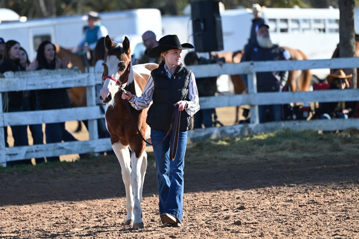 Ranch Horse Schooling Show