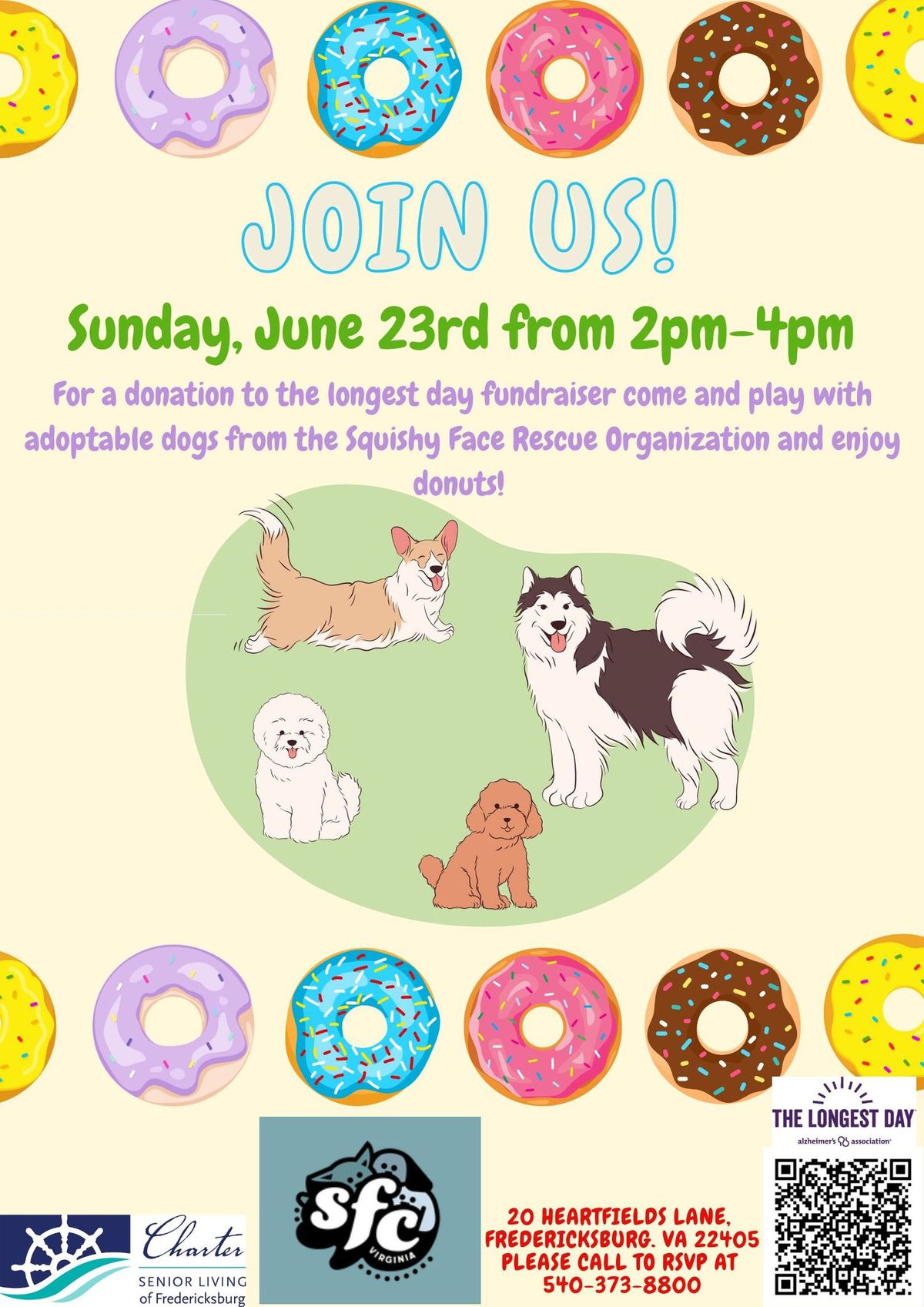 Dogs and Donuts