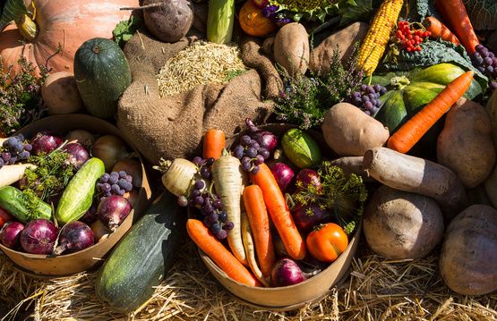 Autumn Harvest Cooking Class