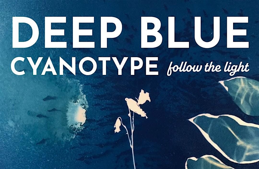 Cyanotype Photograms (and how to tone them)