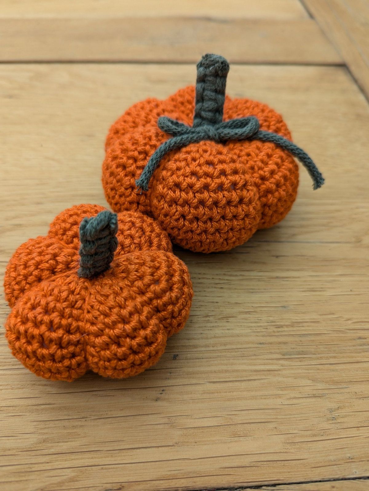 Pumpkin Crochet Workshop