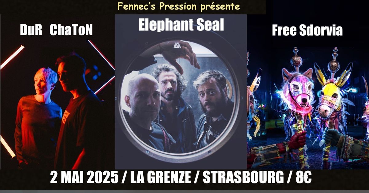 Elephant Seal \/ DuR ChaToN \/ Free Sdorvia @ LA GRENZE (carte blanche Fennec's Pression )