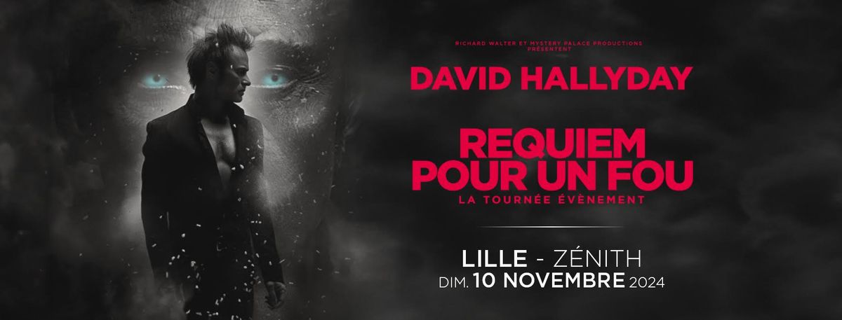 David Hallyday \u2022 Z\u00e9nith, Lille \u2022 10 novembre 2024