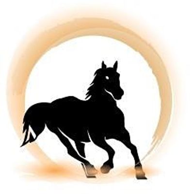 DarkHorse Capital Group