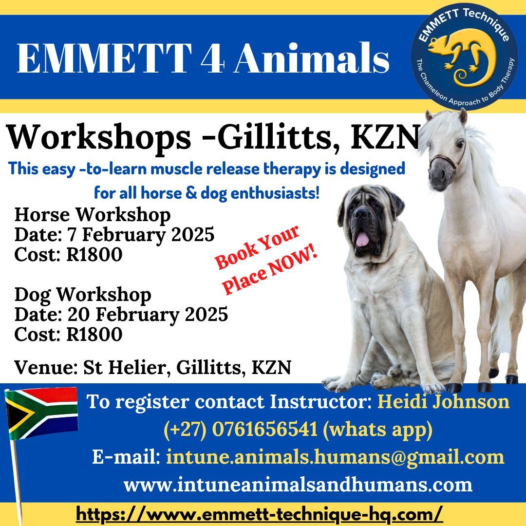 EMMETT 4 Dogs - Workshop - St Helier, Gillitts, KZN - 20 February 2025