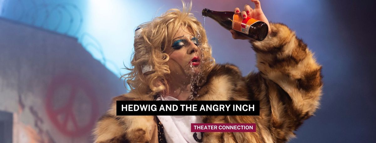 Hedwig and the Angry Inch