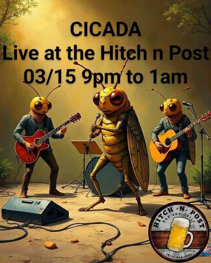 Cicada at The Hitch n Post