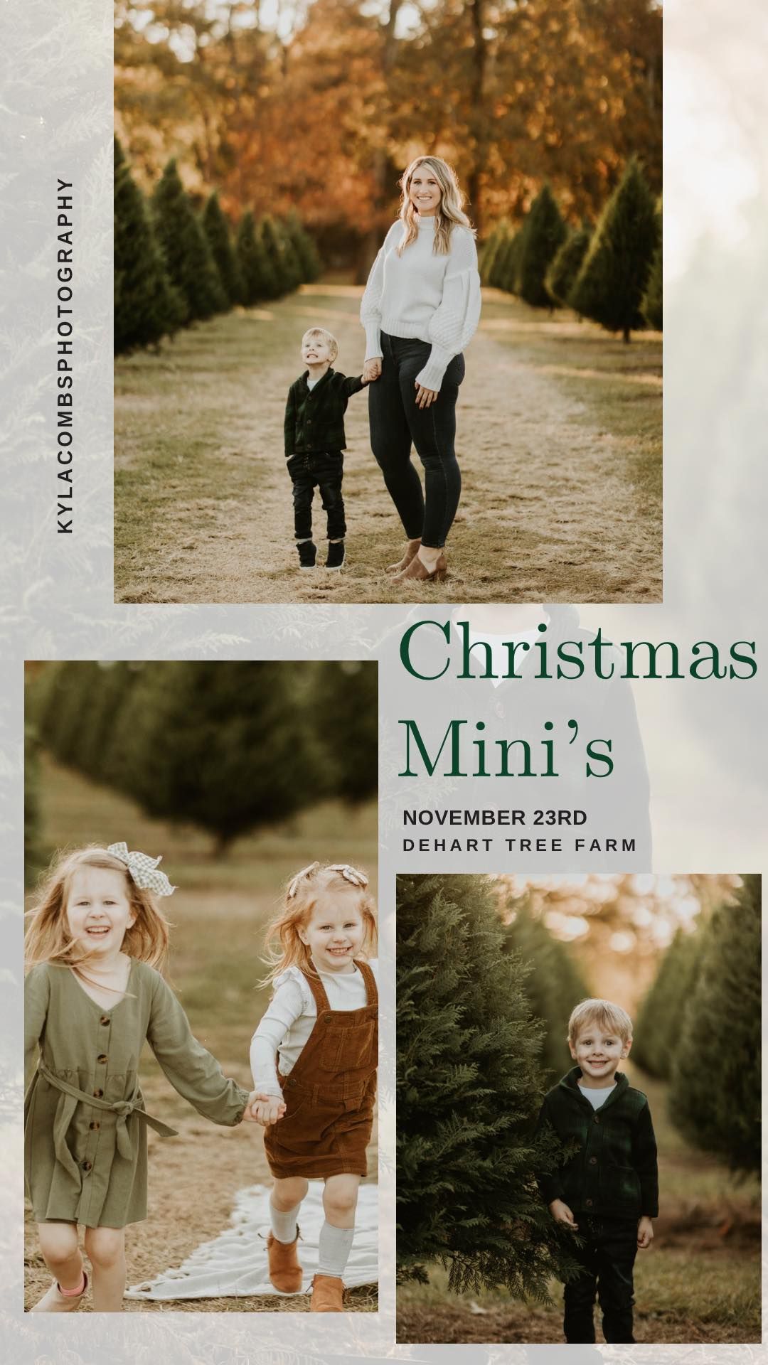 Christmas Tree Farm Mini's