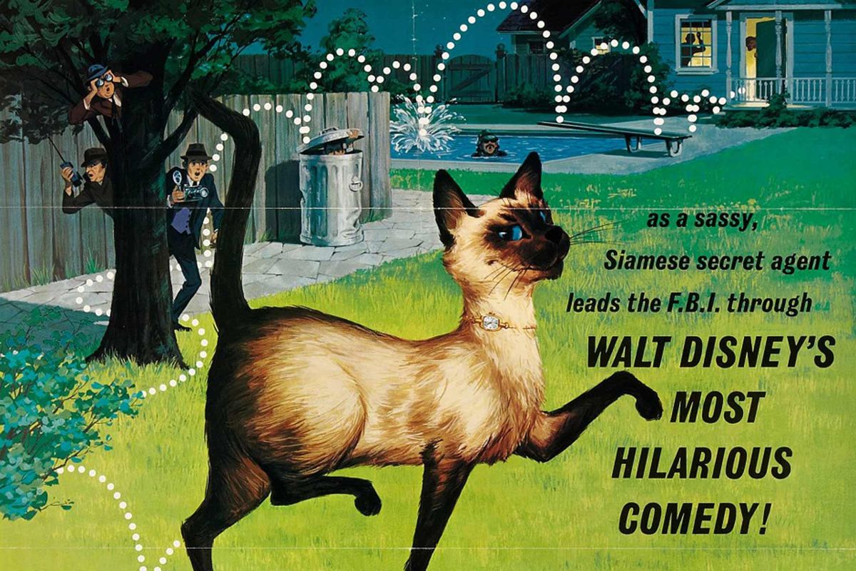 Free Community Screening: That Darn Cat in I.B. Technicolor 35mm