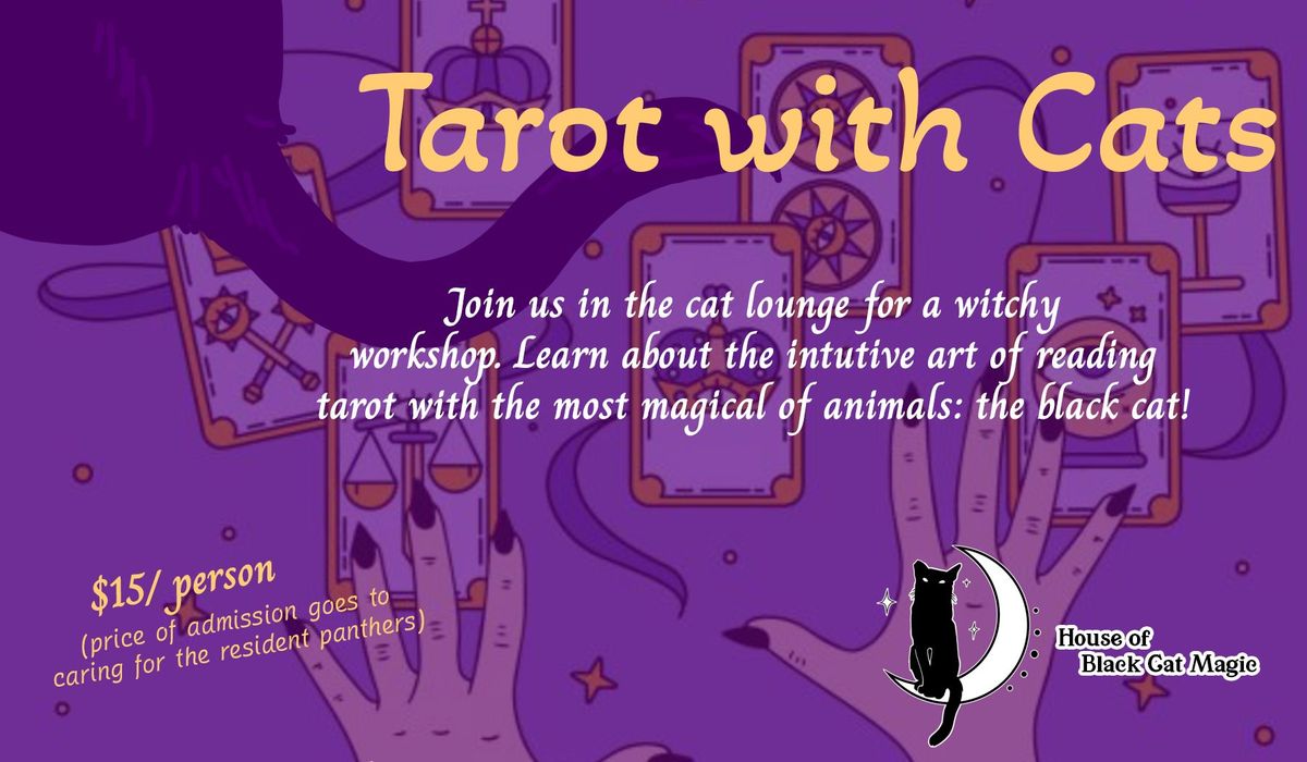 Witchy Workshop: Tarot with Cats