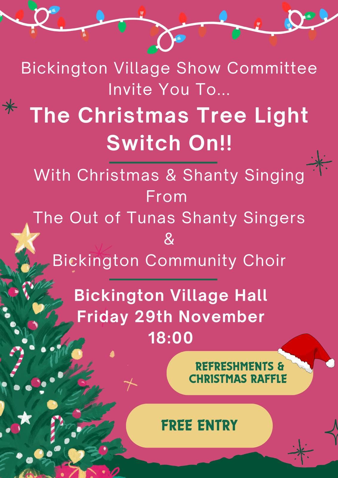 Christmas Lights Switch On