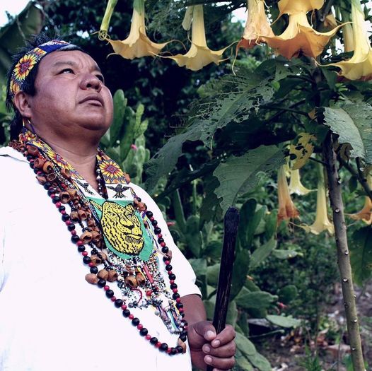 Deep healing ceremonies Taita Leonel