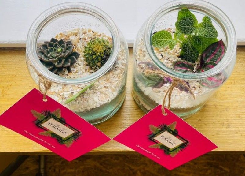 Christmas terrarium making workshop