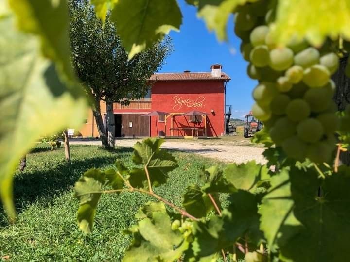 Milonga a Vigne degli Olmi