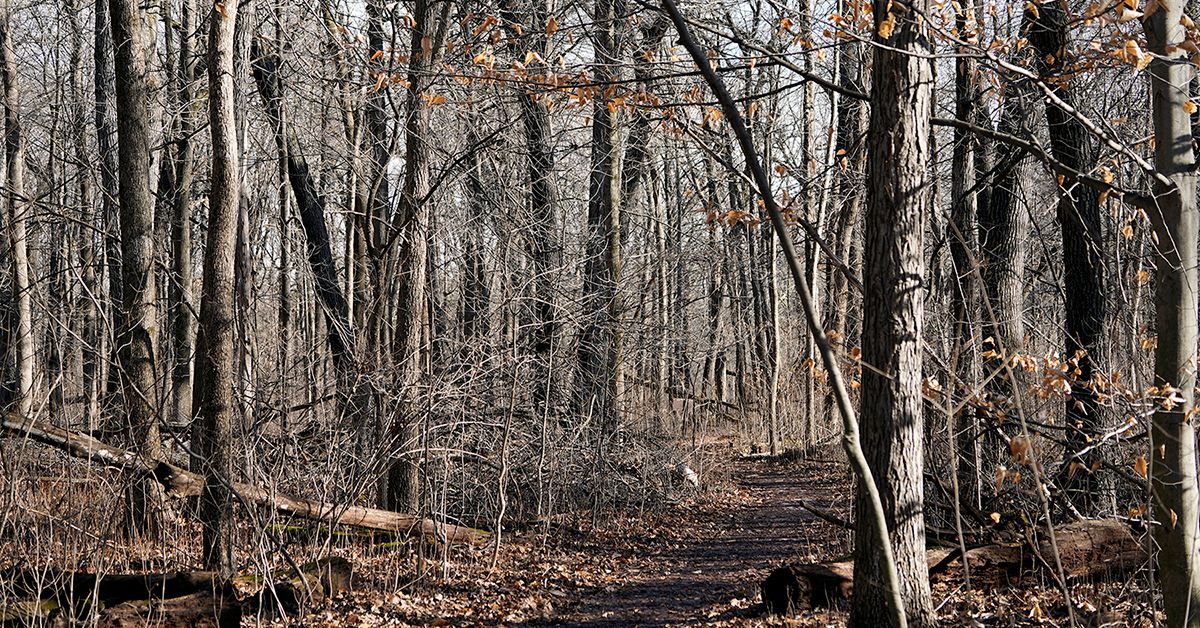 Nature Hike