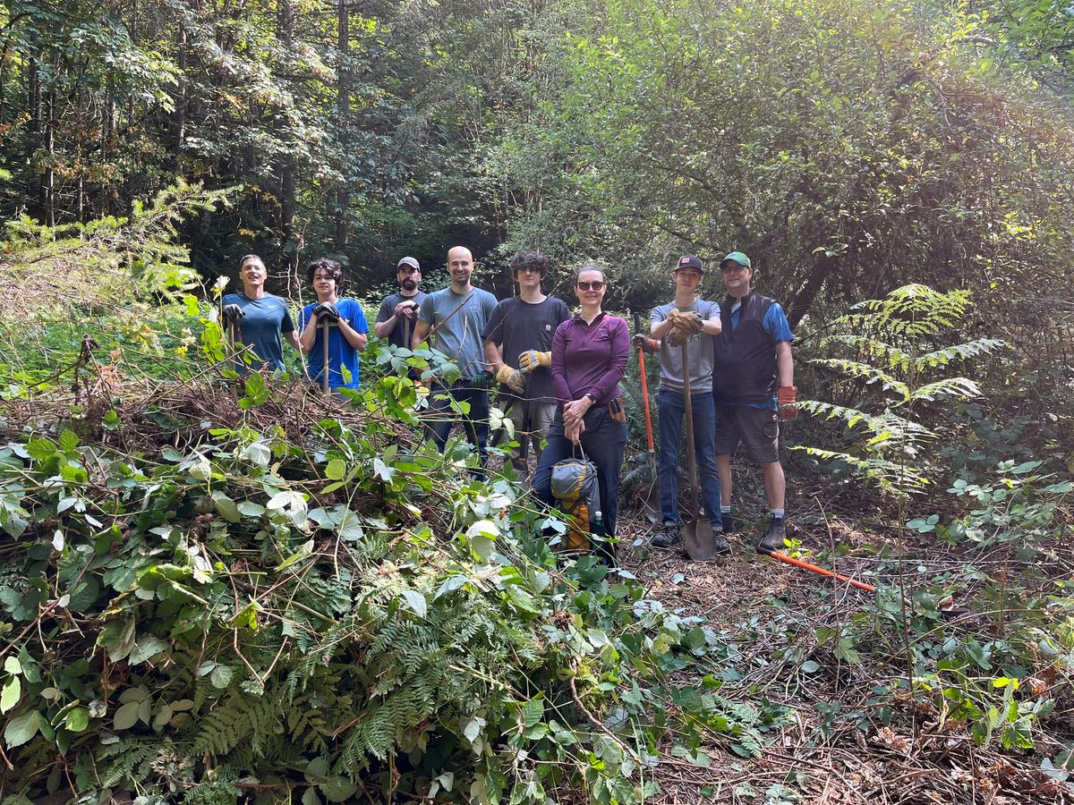 Green Issaquah Day: Fall Planting at Park Pointe