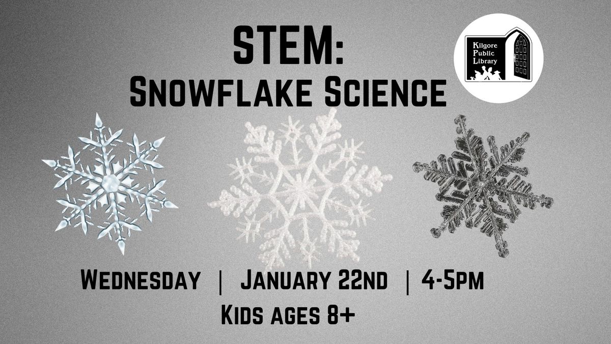 STEM: Snowflakes