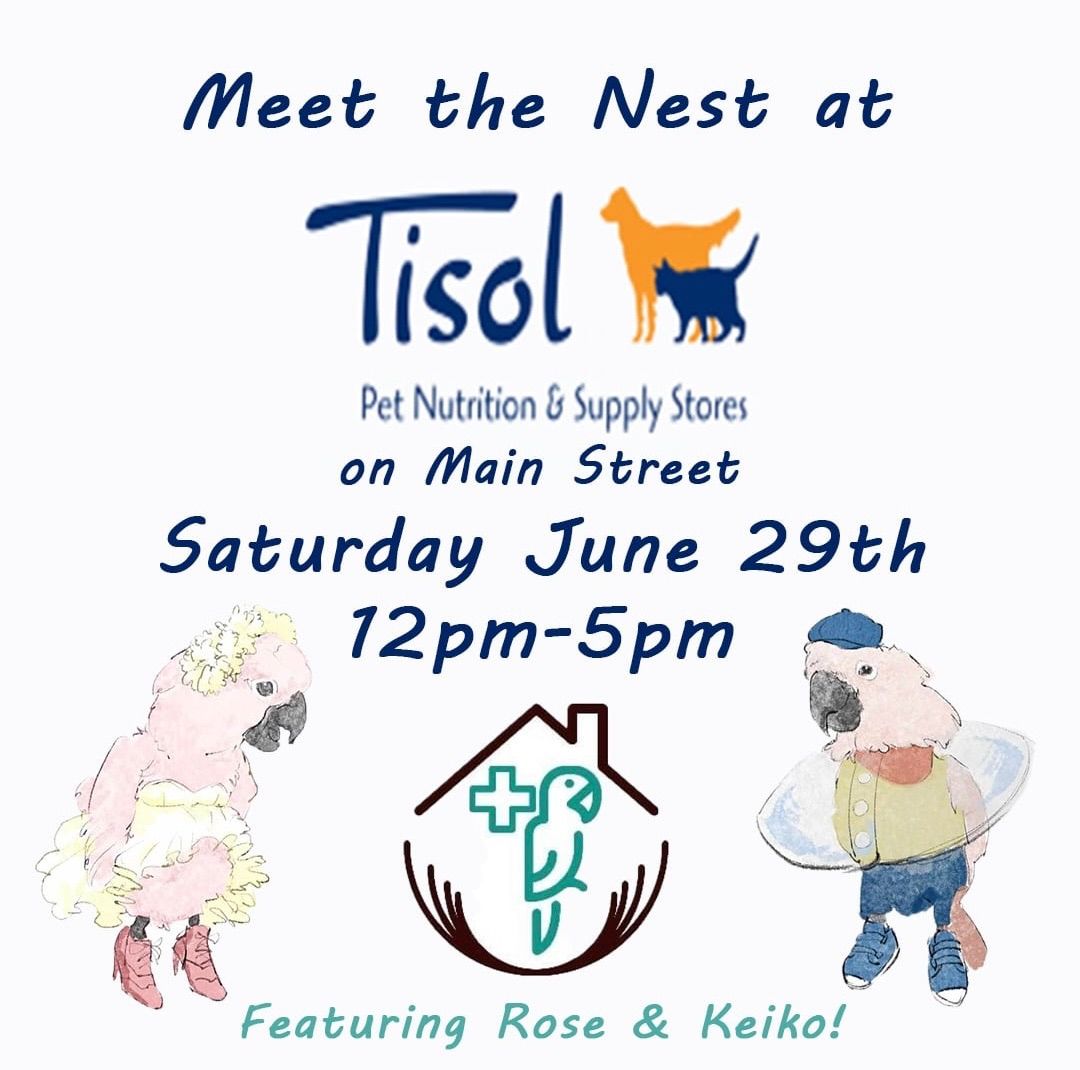 Meet the Nest at Tisol on Main!