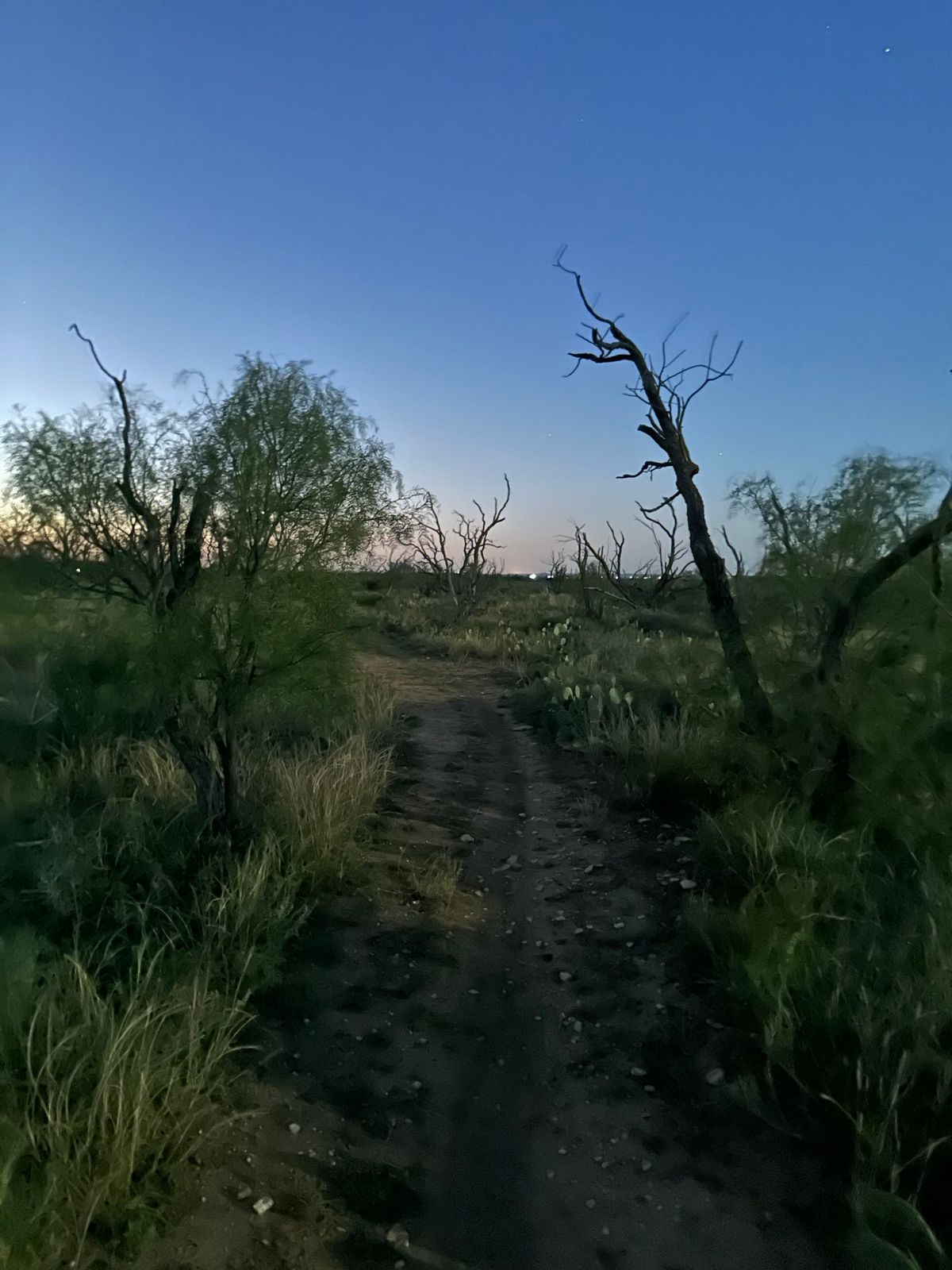 First Day Hikes - Midnight Madness